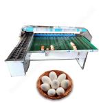 Egg Weight Grade Chicken Egg Sorting Machine 4000pcs/H Egg Grader 304 Stainless Steel for sale