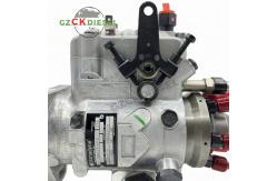 China Stanadyne Injection Pump DB4629-5919R RE522694 For John Deere 6068 Engine supplier