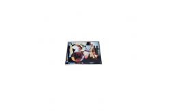 China SG2381B04-1 23.8 inch LCD Display Panel 1920*1080 LCD Screen Module supplier