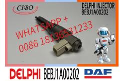 China Fuel Injector Assembly BEBJ1A05002 BEBJ1A00202 BEBJ1A05001 1905001 1846419 1905002 supplier