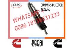 China Engine Parts ISX15 QSX15 Common Rail Fuel Injector 4928260 2874505 4903472 supplier
