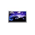 AA150XT11-DE-01 1024*768 15.0 inch TFT LCD Screen Display for sale