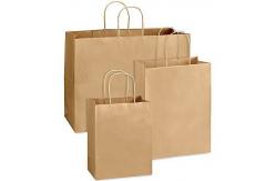 China Recyclable kraft Paper Bag With Twisted Handle Reusable Shopping Paper Bags supplier