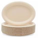 230mm Biodegradable Compostable Sugarcane Plates Bagasse White Oval Plates for sale