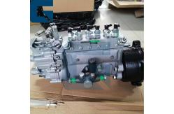 China 33100-93700 Fuel Injection Pump For Engine D6BR supplier