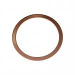 Basic Type Metal Gaskets Wth Loose Outer Ring With Integral Pipe Fittings for sale