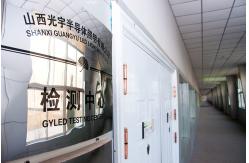 China Filament LED Light Bulbs manufacturer