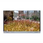 Interactive Touch Screen Whiteboard 65 Inch Touch Monitor for sale