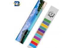 China 3d Or Flip Change Custom Printed Plastic Rulers For Kid Stationery supplier