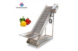China Commercial Electric Vegetable Elevator Machine Food Processor supplier