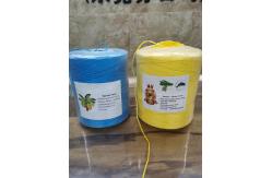China 2000m/Roll 4kg Dia 2mm High Uv Stabilization Banana Twine Fruit Supporting supplier