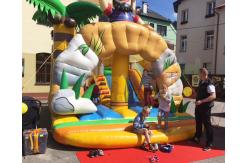 China ROHS Pirate Inflatable Bouncy Castle Bounce House Combos supplier