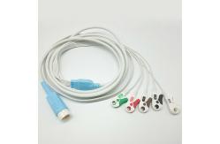 China 12 Pin Round Connector PH HP Disposable ECG Cables supplier