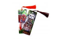China Three-Dimensional Lenticular Bookmark Advanced 3D Hologram Marker supplier