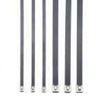 Ball Lock Stainless Steel Epoxy Coated Cable Tie for Extreme Temperature Environments