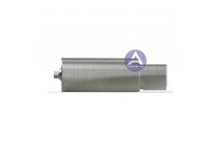 China MIS Seven® Internal Titanium Premill Blank Abutment Yenadent Holder 10mm Engaging supplier