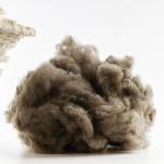 Short Fine Diameter Recycled Polyester Fiber With High Elasticity And Good Flame Chemical Resistance for sale