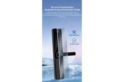 China 9 Language Electronic Door Locks Bluetooth Keyless Entry Door Lock supplier