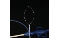 China Clinical Operating Standard Snare For Polypectomy Disposable Using supplier