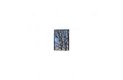 China LQ038J7DH53 3.8 inch LCD Display Screen for Mobile Phone supplier