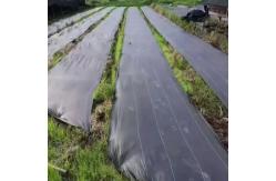 China High Tensile Strength Weed Barrier Fabric Dual Functions For Weed Control supplier