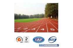 China IAAF Approved Slip Resistance Sandwich System Running Track Fadeless supplier