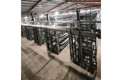 China Mechanical Poultry Egg Production Equipment Q235 Low Carbon Hot Galvanizing supplier