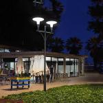 25W Power Solar House Stake Lights LED Outdoor Garden Lights for sale