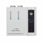 High Pressure PEM Hydrogen Generator For FID GC 1000ml/Min for sale