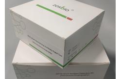 China 2019-NCoV Nasopharyngeal COVID-19 Test Kit Rtk Ag Saliva Test Kit supplier