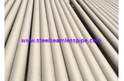 China TP304 TP304L TP304N SS Seamless Pipe ASTM A312 For Food Processing Equipment supplier