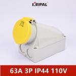 63A IP44 Waterproof European Surface Mounted Socket IEC Standard for sale