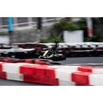 Adult 3.5kw Electric Go Kart Fast Track 4130 CrMo Frame Chain Drive Transmission for sale