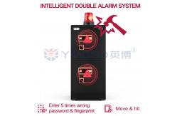 China Patented Double Rows Bolts Home Safe Box Double Door Dual Alarm supplier