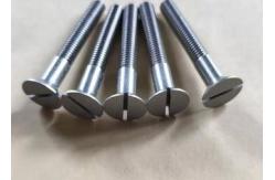 China Customized Molybdenum Fasteners Screws For High Temperature Resistant Workpiece supplier