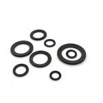 DIN 9250 Knurling Disc Spring Washer Black Oxide Conical Spring Contact Washer For Screws for sale