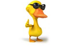 China 3D New Design Plastic Cartoon Figure action Animals Toys with Duck Bee Penguin supplier
