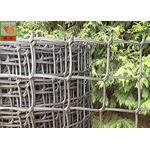 Garden Mesh Netting for Climbing Plant Support Hole Open 19 mm 0.5 Meters Wide for sale
