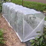 Plastic Mesh  Insect Screen Net For Vegetables And Fruits
