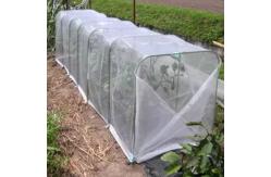 China Plastic Mesh  Insect Screen Net For Vegetables And Fruits supplier