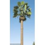 ChangTong Camouflaged GSM Antennas Mobile Cell Tower for sale