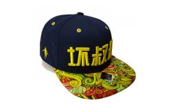 China Custom Sublimated Printed Brim Hip Hop Snapback Hat With 3D Embroidery supplier