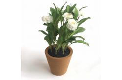 China LFGB Custom Cork Plant Pots Eco Friendly Recycled  Biodegradable supplier