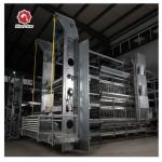 Custom Multi Layer Battery Chicken Cage Chicken Coop Chicken Equipment for sale