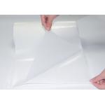 Polyester PES Hot Melt Glue Film High Stickiness Bonding Shoe Label for sale