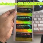 Hologram Laser Effect Testos E 250 Injection Steroide 10ml Vial Labels for sale