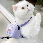 Print Mesh Cat Harness Backpack Leash Set Detachable Puppy Harness Pet Travel Hiking for sale