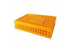 China 8-10 Chickens Poultry Carrier Crate Pp For Transportation supplier