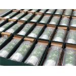Air Cushion Packaging Bags Shock Proof , Inflatable Packing Air Bags Different Size for sale