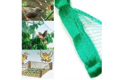 China Lightweight Anti Bird Net For Orchards Gardens Fruit Orchard Netting supplier
